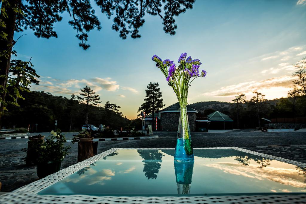 Troodos Hotel & Spa Kültér fotó