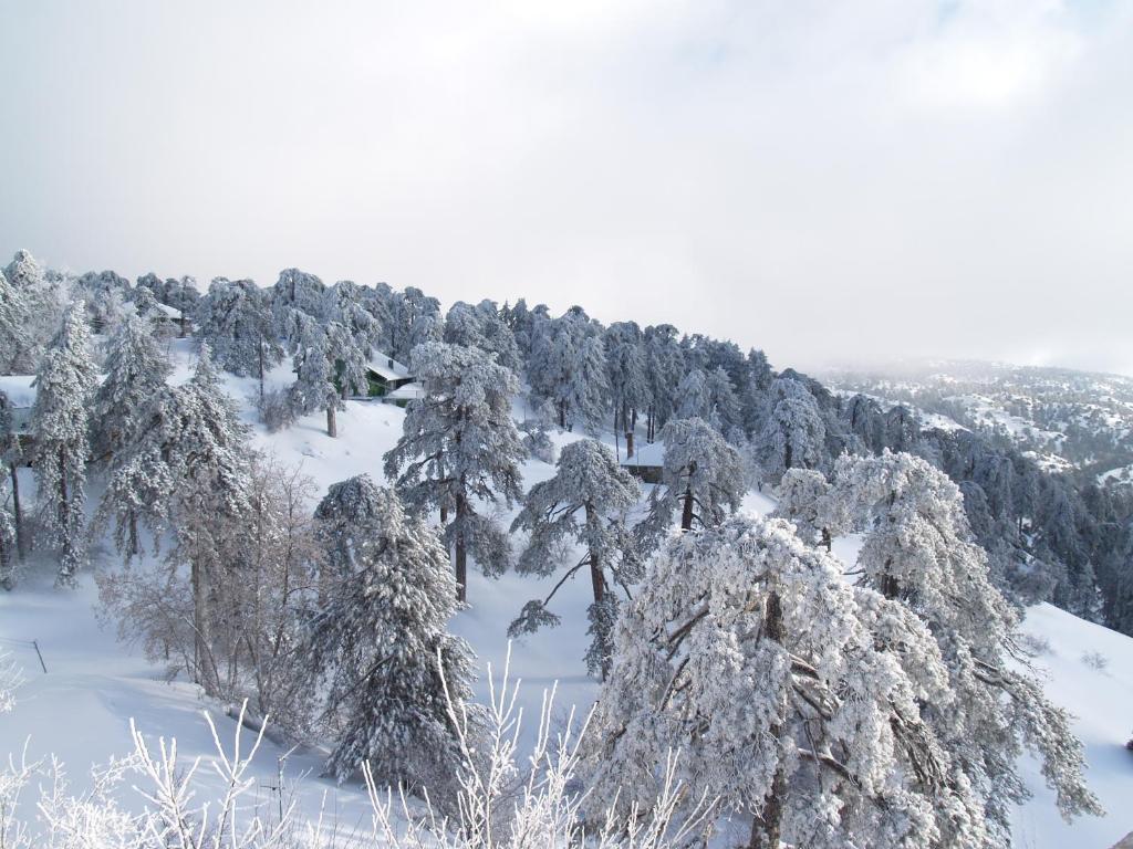 Troodos Hotel & Spa Kültér fotó