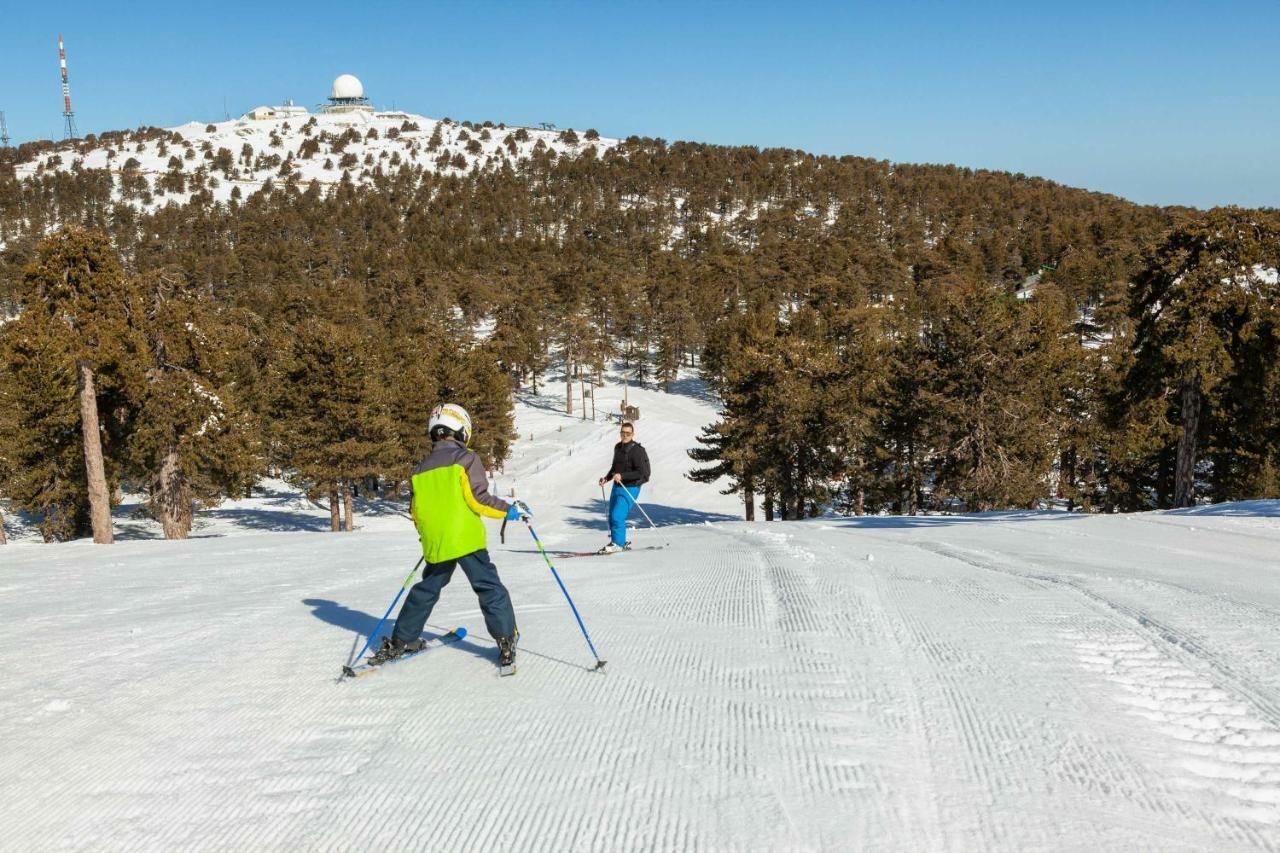 Troodos Hotel & Spa Kültér fotó